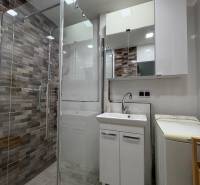 A bathroom in a 2-room apartment with a shower, sink, and washing machine.