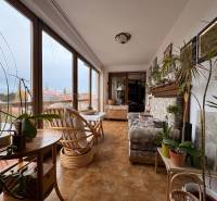 Interior photograph of a conservatory in a 5 or more room apartment with plenty of plants.