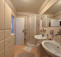 A bathroom with a double sink, shower, and storage space in a 5-room apartment.