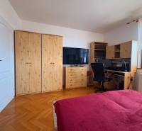 A room in a 5 or more bedroom apartment with a wood-patterned floor and a desk.