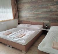 A room in a cottage with two beds, a wooden wall, and a floor with a wooden decor.