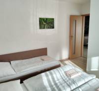 Two beds in a room with a painting on the wall and a door in a cabin.