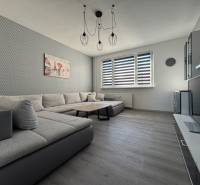 Living room in a 3-room apartment with a sofa and a wooden decor floor.