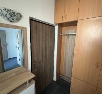 Entrance hall with storage space in a 3-room apartment, floor with wood decor.