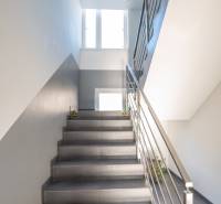 A staircase with a metal railing leads to a window in the offices.