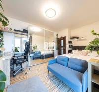 The family house offers a floor with a wooden decor, a blue sofa, and a work corner.