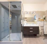 A bathroom in a family house with a wooden decor floor, a shower corner, and a mirror.