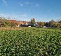 A garden with a lawn area at family houses in Bojná, with a view of the fencing.