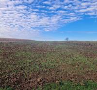 A plain with young greenery, blue sky with clouds, landscape near Bojná.