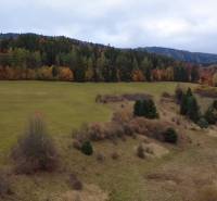 Autumn at the Recreational Grounds in Lazy pod Makytou-Čertov with a forest in the background.