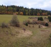 A landscape in the Recreational Grounds Čertov, Lazy pod Makytou with a forest backdrop and meadows.