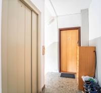 Interior space with an elevator, entrance door, shoe cabinet in a 3-room apartment.
