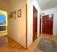 Hallway of a 3-room apartment with wood-patterned flooring, paintings on the walls.