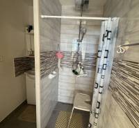 A bathroom in a 3-room apartment with a modern shower and a screen.