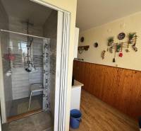 Bathroom with a shower corner and a floor with a wooden decor in a 3-room apartment.