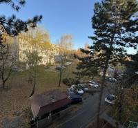 Vajanského Street in Šahy, 3-room apartment in greenery with parking and trees.