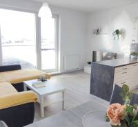 Interior of a 2-room apartment with a kitchen, sofa, and wooden decor flooring.