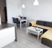 Living room in a two-room apartment with a kitchen, sofa, and dining table, floor with wooden decor.