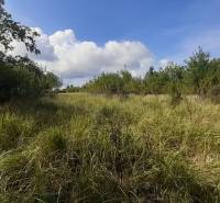 Overgrown recreational plots surrounded by trees in Horné Jabloňovce, Jabloňovce, under a blue sky.