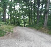 A forest road on the Recreational Grounds in Horné Jabloňovce, surrounded by dense trees.