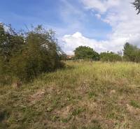 Grassy recreational plots in Horné Jabloňovce with a blue sky and shrubs in the background.