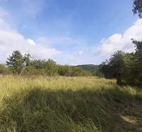 Grassy land in the Recreational plots in Jabloňovce, Upper Jabloňovce surrounded by trees.