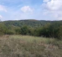 Landscape with grassy vegetation and trees in Recreational Grounds, Horné Jabloňovce, Jabloňovce.