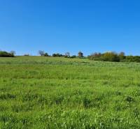 Greenery and blue skies in Dolné Žemberovce, ideal for residential plots, Žemberovce.