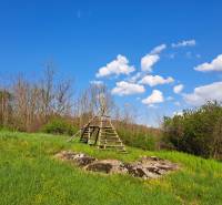 Greenery and wooden structure on residential plots in Dolné Žemberovce, Žemberovce.