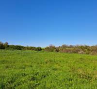 Meadow in Dolné Žemberovce, Residential Land, with a view of greenery and clear skies.