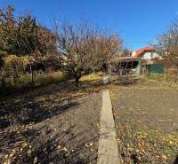Autumn garden on Stredná Street in Bratislava-Ružinov with a path and trees.