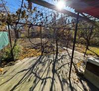 Autumn garden in Bratislava - Ružinov on Stredná Street with a pergola and fallen leaves.