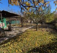 Gardens in Bratislava - Ružinov on Stredná Street with a pergola and fallen leaves.