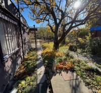 Gardens on Stredná Street in Bratislava – Ružinov with a walkway and trees.