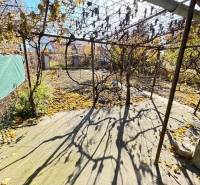 Gardens on Stredná Street in Bratislava - Ružinov with fallen vine leaves.