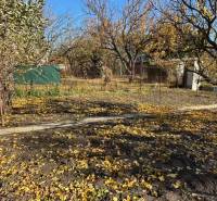 Autumn garden in Bratislava - Ružinov, Central, with fallen leaves and trees.