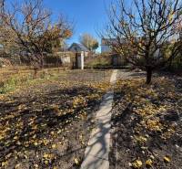 Gardens at Stredná in Bratislava - Ružinov with a path and fallen leaves.