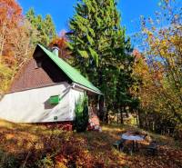 A cabin in Bystrá at Tále in the middle of an autumn forest, with a table and benches.