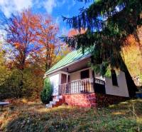 A cottage in Tále in Bystré surrounded by colorful autumn nature and conifers.