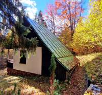 Autumn cottage in Tále in Bystrá, surrounded by coniferous trees and colorful leaves.