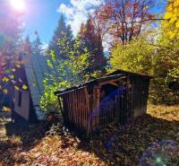 A cottage in the village of Bystrá in Tále, surrounded by autumn nature with a shelter in the forest.