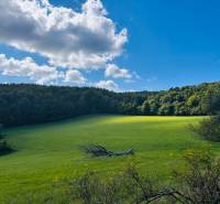Green agricultural and forest lands in Lúčky with trees and a sky with clouds.