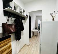 In the 1-room apartment, there is an entrance hall with a shoe cabinet and a coat rack, and a floor with a wooden decor.