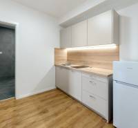 Kitchen corner with white cabinets, wooden decor, next to a refrigerator, in a 2-room apartment.