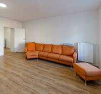 Living room in a two-room apartment with an orange sofa and a wooden decor floor.