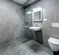 Bathroom in a 2-room apartment with large-format gray tiles, shower, and toilet.