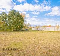 A garden at a family house in Veľké Kosihy with a lawn and trees.