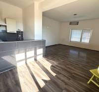 Interior of a family house with a kitchen, counter, and floor with wood decor.