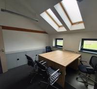 An office with a desk and chairs, under skylights, with a wood-patterned floor.
