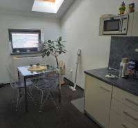 A kitchenette in the office with a dining table, a plant, and a microwave under a skylight.